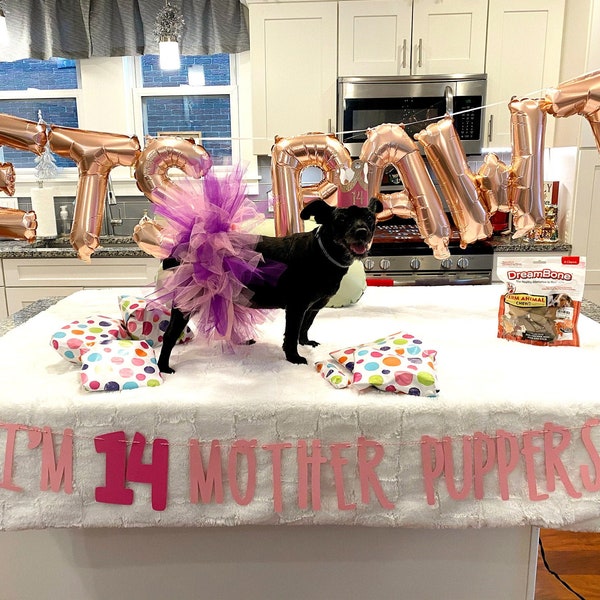 Dog Birthday Banner ∙ Happy Birthday Mother Puppers ∙ Dog Birthday Decoration ∙ Lets Pawty ∙ Its My Birthday Mother Puppers ∙ Puppy Birthday