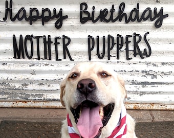 May include: A smiling yellow Labrador Retriever wearing a red and white striped bandana. Above the dog, black letters spell out "Happy Birthday MOTHER PUPPERS" against a weathered, white-painted background.