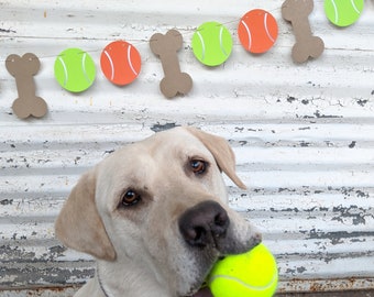 May include: A yellow Labrador Retriever with a tennis ball in its mouth. A banner of paper bones and tennis balls in green and orange hangs in the background. The dog has a brown collar.