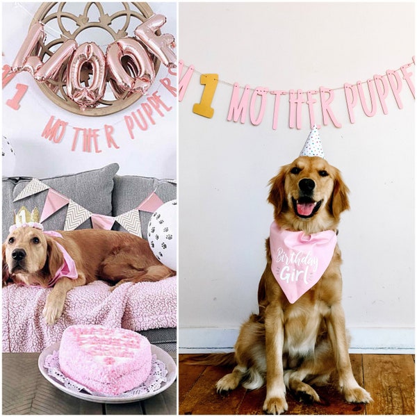 Dog Birthday Banner ∙ Happy Birthday Mother Puppers ∙ Dog Birthday Decoration ∙ Lets Pawty ∙ Its My Birthday Mother Puppers ∙ Puppy Birthday