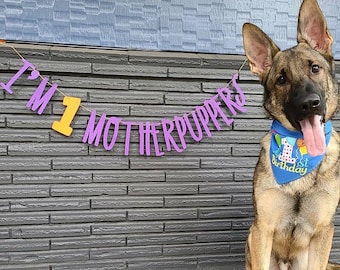 Dog Birthday Banner ∙ Happy Birthday Mother Puppers ∙ Dog Birthday Decoration ∙ Lets Pawty ∙ Its My Birthday Mother Puppers ∙ Puppy Birthday