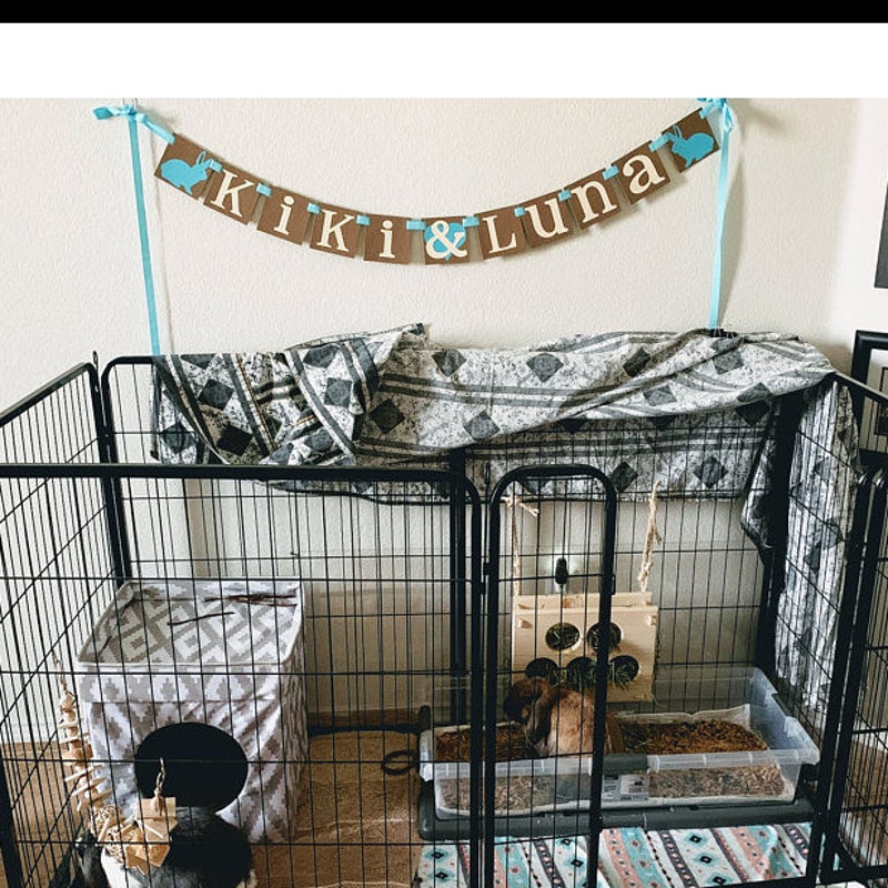 Custom Name Banner / Animal Cage Decor / Bunny Rabbit Cage / Bunnies Name / Small Pet Sign / Personalized Name Banner / Custom Name Garland