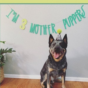 Dog Birthday Banner ∙ Happy Birthday Mother Puppers ∙ Dog Birthday Decoration ∙ Lets Pawty ∙ Its My Birthday Mother Puppers ∙ Puppy Birthday