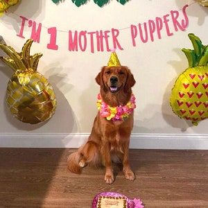 Dog Birthday Banner ∙ Happy Birthday Mother Puppers ∙ Dog Birthday Decoration ∙ Lets Pawty ∙ Its My Birthday Mother Puppers ∙ Puppy Birthday