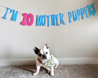 Dog Birthday∙ Dog Birthday Banner ∙ Happy Birthday Mother Puppers ∙ Dog Birthday Decoration ∙ Lets Pawty ∙ Puppy Birthday ∙ Dog Birthday