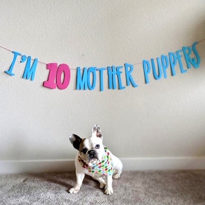 Dog Birthday Dog Birthday Banner Happy Birthday Mother Puppers Dog Birthday Decoration Lets Pawty Puppy Birthday Dog Birthday image 1