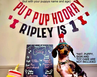 Dog Birthday Banner ∙ PUP PUP HOORAY ∙ Happy Birthday ∙ Dog Birthday Decoration ∙ Lets Pawty ∙ Puppy Birthday ∙ Custom Name & Age Dog Banner