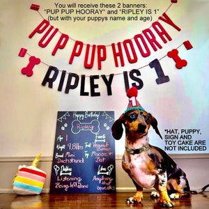 Dog Birthday Banner ∙ PUP PUP HOORAY ∙ Happy Birthday ∙ Dog Birthday Decoration ∙ Lets Pawty ∙ Puppy Birthday ∙ Custom Name & Age Dog Banner