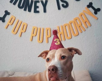 Dog Birthday Banner ∙ PUP PUP HOORAY ∙ Happy Birthday ∙ Dog Birthday Decoration ∙ Lets Pawty ∙ Puppy Birthday ∙ Custom Name & Age Dog Banner