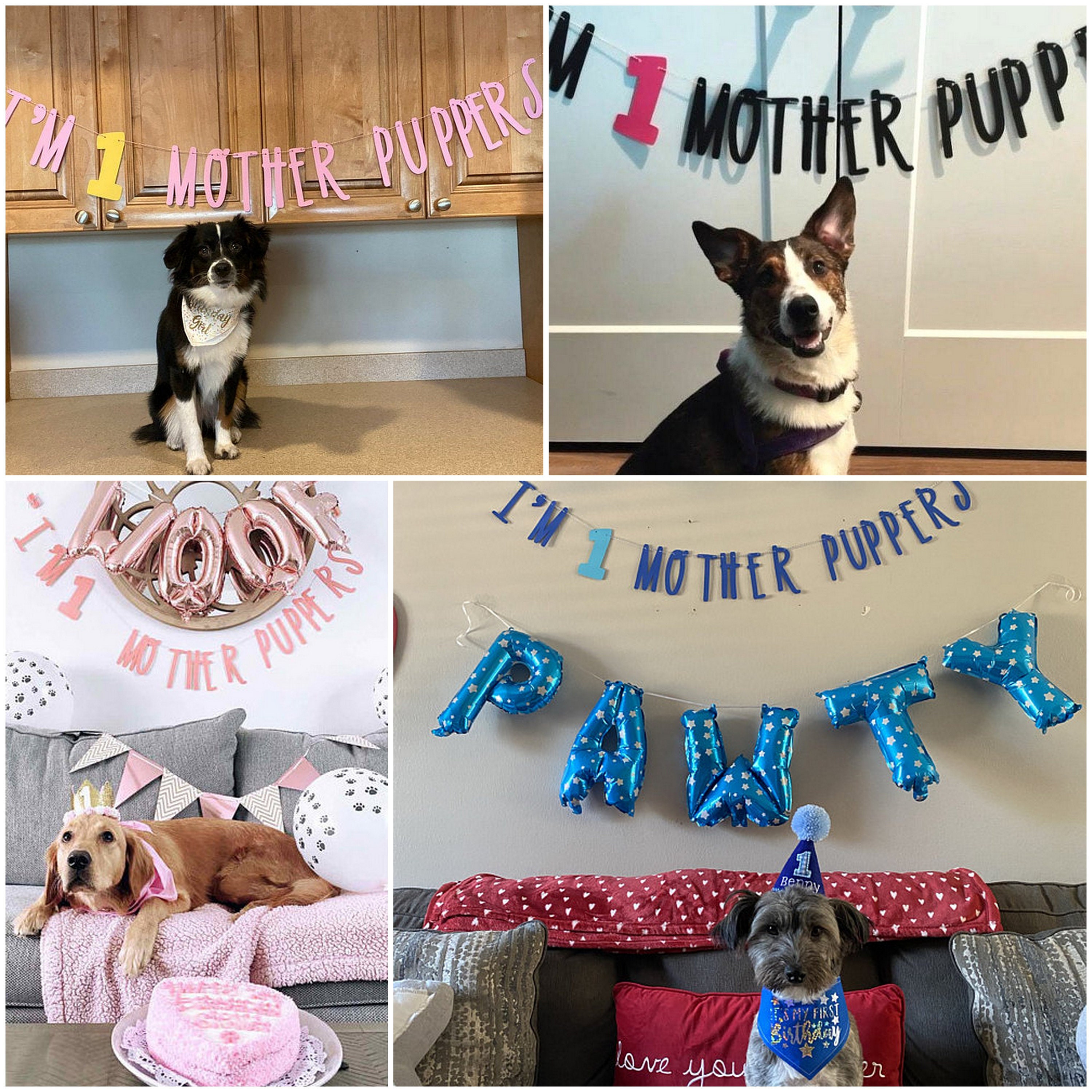 "I Am One Mother Puppers" Glitter Banner – First Birthday Decor For Dog Parties - View #14