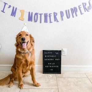 Dog Birthday Banner ∙ Happy Birthday Mother Puppers ∙ Dog Birthday Decoration ∙ Lets Pawty ∙ Its My Birthday Mother Puppers ∙ Puppy Birthday