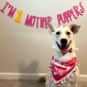 Dog Birthday Banner ∙ Happy Birthday Mother Puppers ∙ Dog Birthday Decoration ∙ Lets Pawty ∙ Its My Birthday Mother Puppers ∙ Puppy Birthday