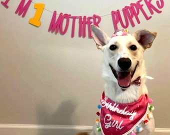Dog Birthday Banner ∙ Happy Birthday Mother Puppers ∙ Dog Birthday Decoration ∙ Lets Pawty ∙ Its My Birthday Mother Puppers ∙ Puppy Birthday