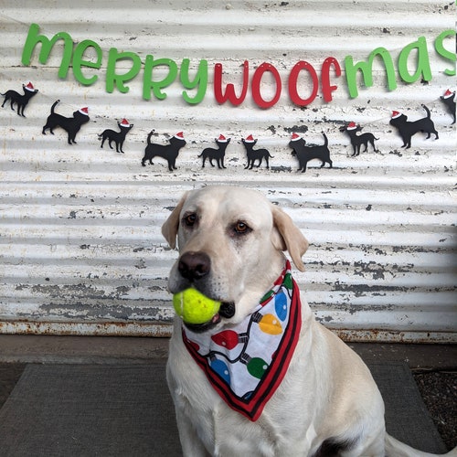 Christmas Banner ∙ Merry WOOFmas Banner ∙ Dog Puppy Christmas Banner ∙ Dog Photo Prop ∙ Red Holiday Decor ∙ Christmas Decor ∙ Puppy Photo