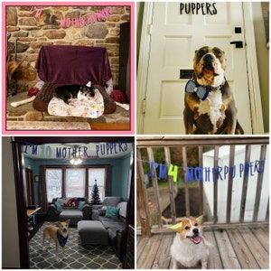 Dog Birthday Dog Birthday Banner Happy Birthday Mother Puppers Dog Birthday Decoration Lets Pawty Puppy Birthday Dog Birthday image 10