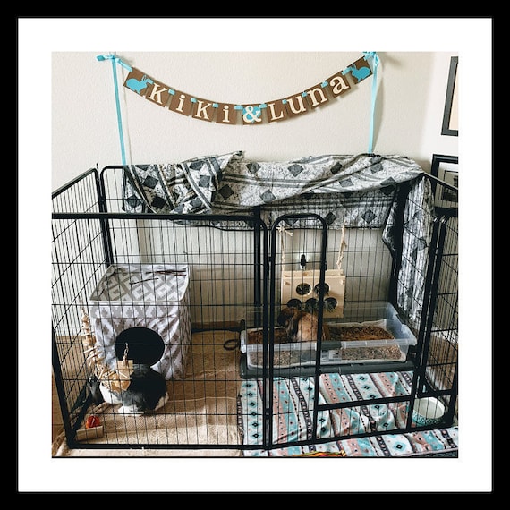 Dog cage for clearance rabbit