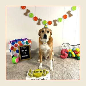 May include: A tan and white dog wearing a party hat and bow tie sits in front of a birthday banner. A cake with tennis ball decorations and the name "Cooper" is in front of the dog. The sign says "Ballin' for my 5th Birthday".