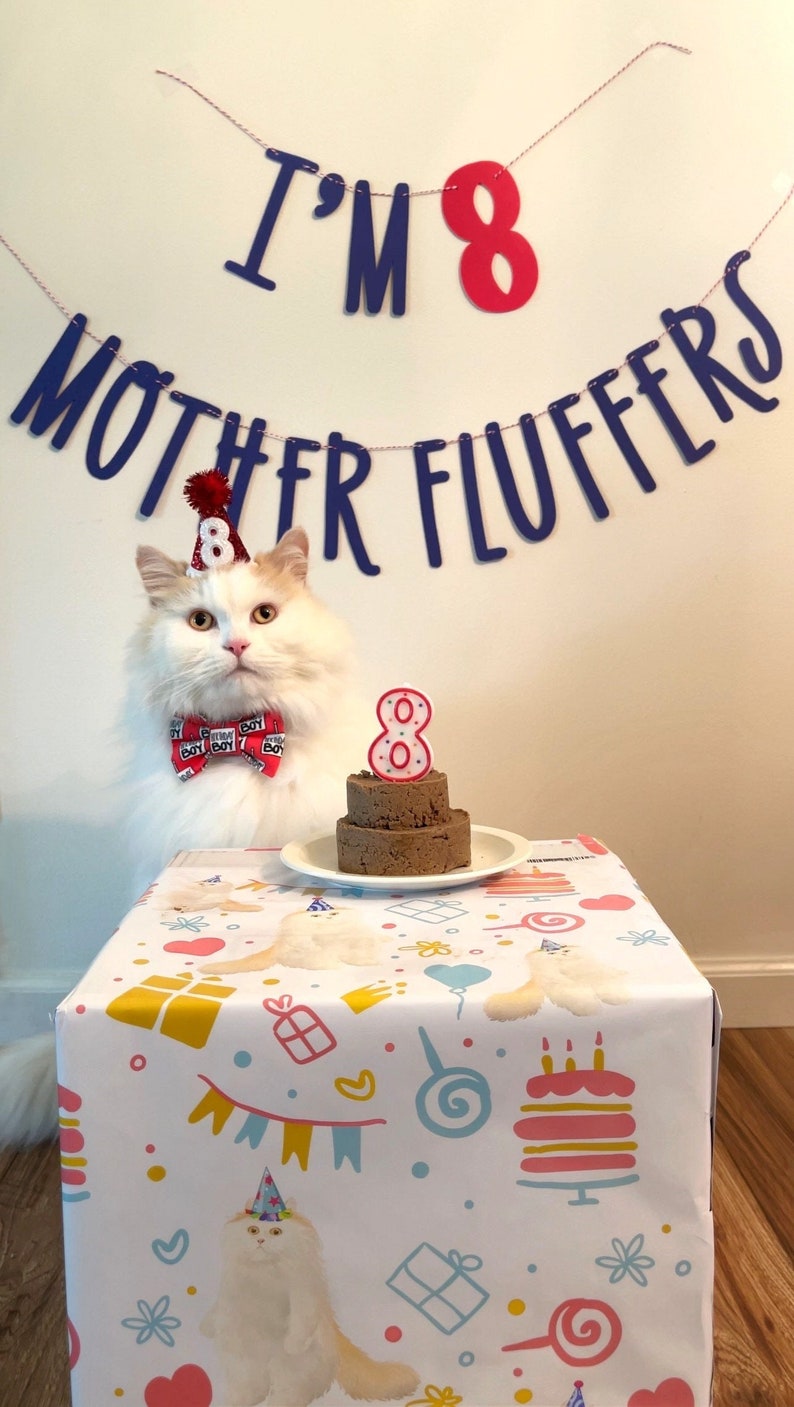 Cat Birthday Banner, Happy Birthday Mother Fluffers, Cat Birthday Decoration, Lets Purrty, Its My Birthday Mother Fluffers, Kitty Birthday image 2