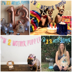 Dog Birthday Dog Birthday Banner Happy Birthday Mother Puppers Dog Birthday Decoration Lets Pawty Puppy Birthday Dog Birthday image 4