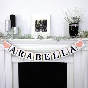 Custom Name Banner / Baby Shower Decoration / Kids Room Decor / Child's Name / Personalized Name Wall Art / Nursery Sign image 1