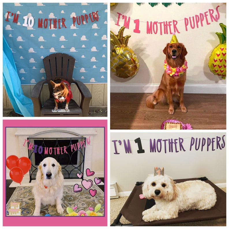 Dog Birthday Dog Birthday Banner Happy Birthday Mother Puppers Dog Birthday Decoration Lets Pawty Puppy Birthday Dog Birthday image 9