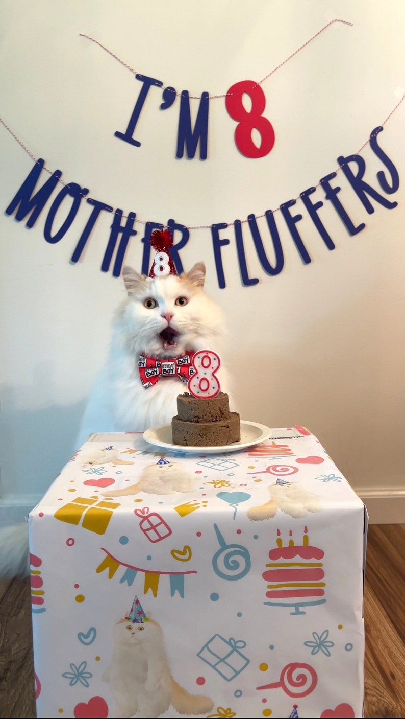 Cat Birthday Banner, Happy Birthday Mother Fluffers, Cat Birthday Decoration, Lets Purrty, Its My Birthday Mother Fluffers, Kitty Birthday image 1