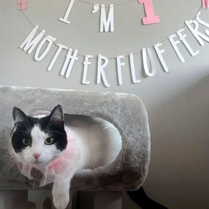 Cat Birthday Banner, Happy Birthday Mother Fluffers, Cat Birthday Decoration, Lets Purrty, Its My Birthday Mother Fluffers, Kitty Birthday image 4