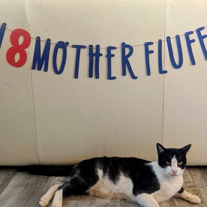 Cat Birthday Banner, Happy Birthday Mother Fluffers, Cat Birthday Decoration, Lets Purrty, Its My Birthday Mother Fluffers, Kitty Birthday image 5