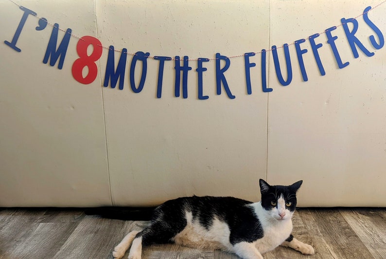 Cat Birthday Banner, Happy Birthday Mother Fluffers, Cat Birthday Decoration, Lets Purrty, Its My Birthday Mother Fluffers, Kitty Birthday image 5