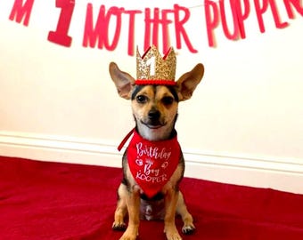 May include: A red banner with the text I'M 1 MOTHER PUPPER in large red letters. The banner is displayed above a small dog wearing a gold glittery crown with the number 1 and a red bandana with the text Birthday Boy KOOPER printed on it.