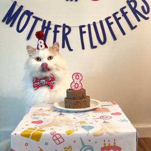 Cat Birthday Banner, Happy Birthday Mother Fluffers, Cat Birthday Decoration, Lets Purrty, Its My Birthday Mother Fluffers, Kitty Birthday image 8