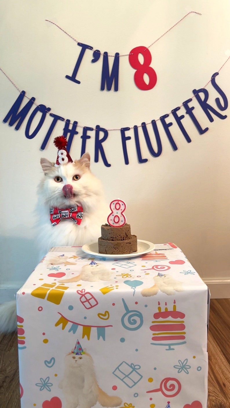 Cat Birthday Banner, Happy Birthday Mother Fluffers, Cat Birthday Decoration, Lets Purrty, Its My Birthday Mother Fluffers, Kitty Birthday image 8