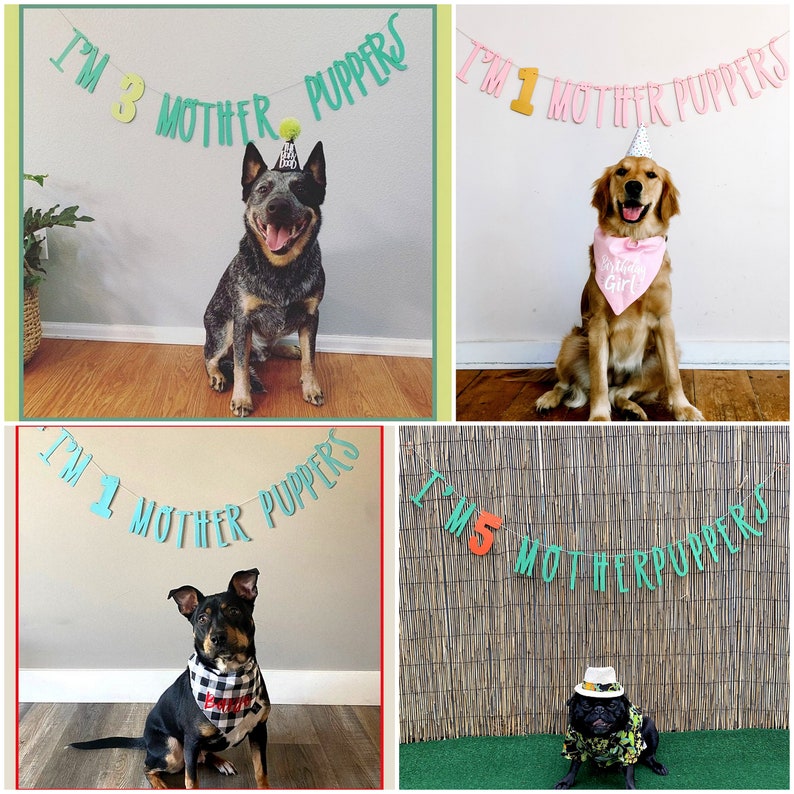 Dog Birthday Dog Birthday Banner Happy Birthday Mother Puppers Dog Birthday Decoration Lets Pawty Puppy Birthday Dog Birthday image 3