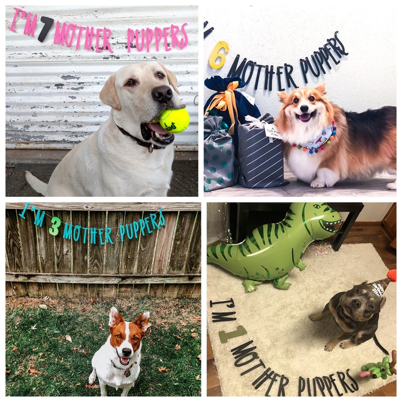 Dog Birthday Dog Birthday Banner Happy Birthday Mother Puppers Dog Birthday Decoration Lets Pawty Puppy Birthday Dog Birthday image 7