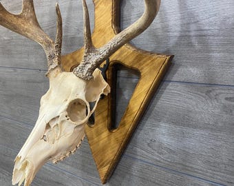 Custom Broadhead -Shaped European Mount Plaque for Deer Skull Display