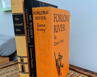 Book Set, Orange Books, Halloween, Black Books, Vintage Books, Decorative Books, Colorful Books, Bookshelf Decor,V Vintage Book Set