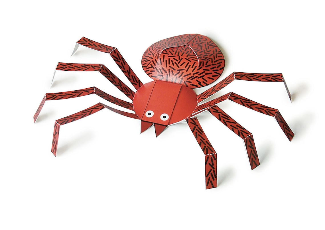 Insects DIY Paper Craft Kit 3D Paper Toys Colourful Cutouts to Assemble
