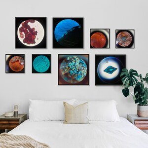 Chevreul's Salt microscopy Fine Art Print
