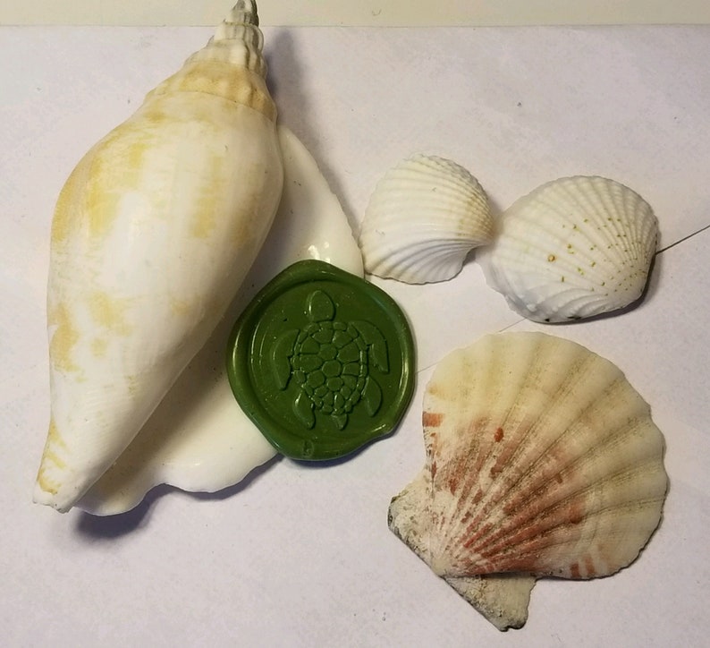 Sea Turtle Wax Seal Peel and Stick Made to Order Elegant Wedding Birthday shell Graduation ocean fish letter Premade Stickers water sea