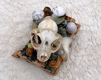 Cholla Cactus, Skull Medicine, Howlite, Chalcedony, Copper, Glowing Pebble,Serpentine, Bloodstone, Aventurine, Emerald, Mystical Altar Skull