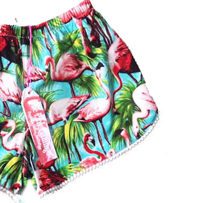 Green Retro Flamingo Print Pom Pom Shorts image 8