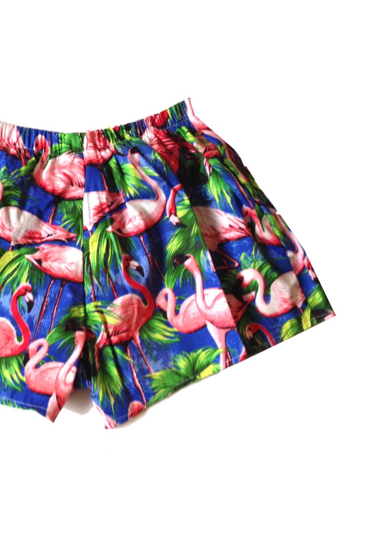 Retro Blue Flamingo Print Basic Shorts