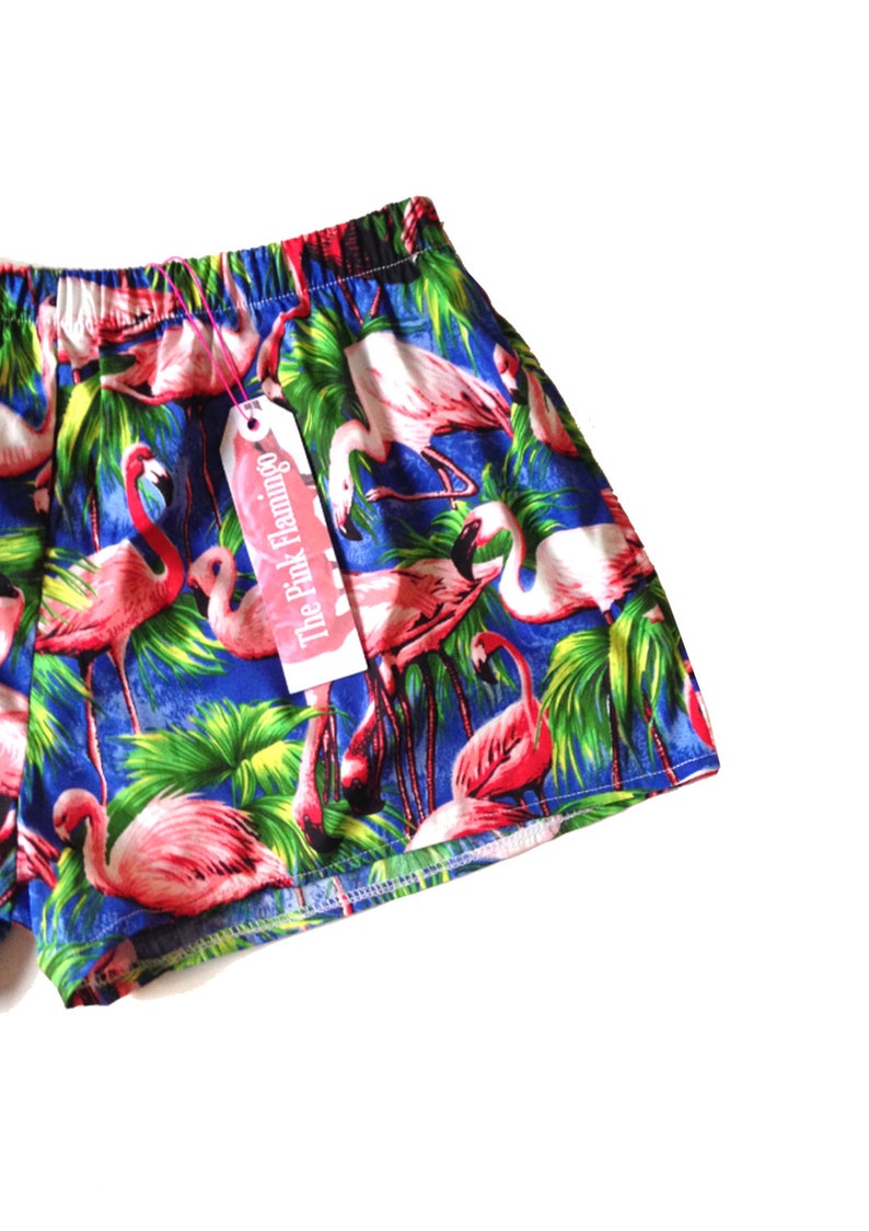 Retro Blue Flamingo Print Basic Shorts