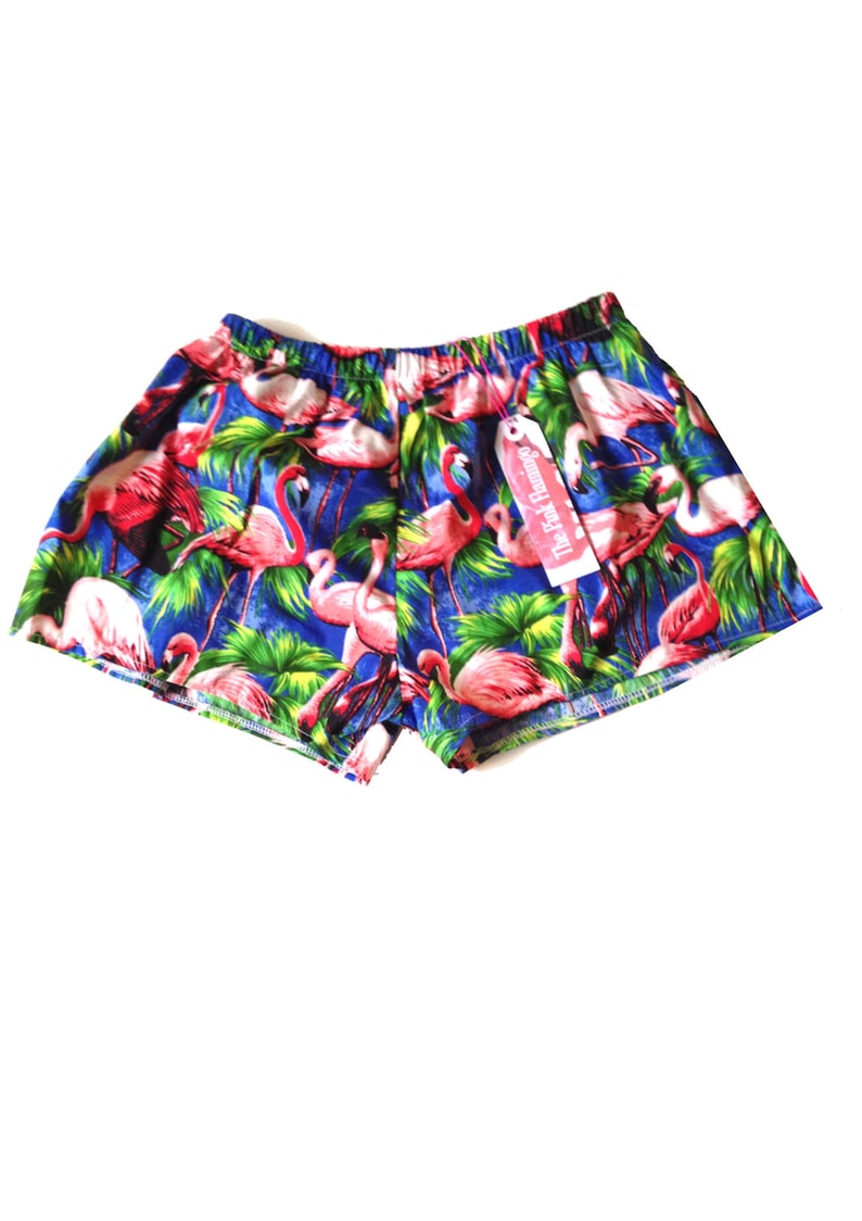 Retro Blue Flamingo Print Basic Shorts