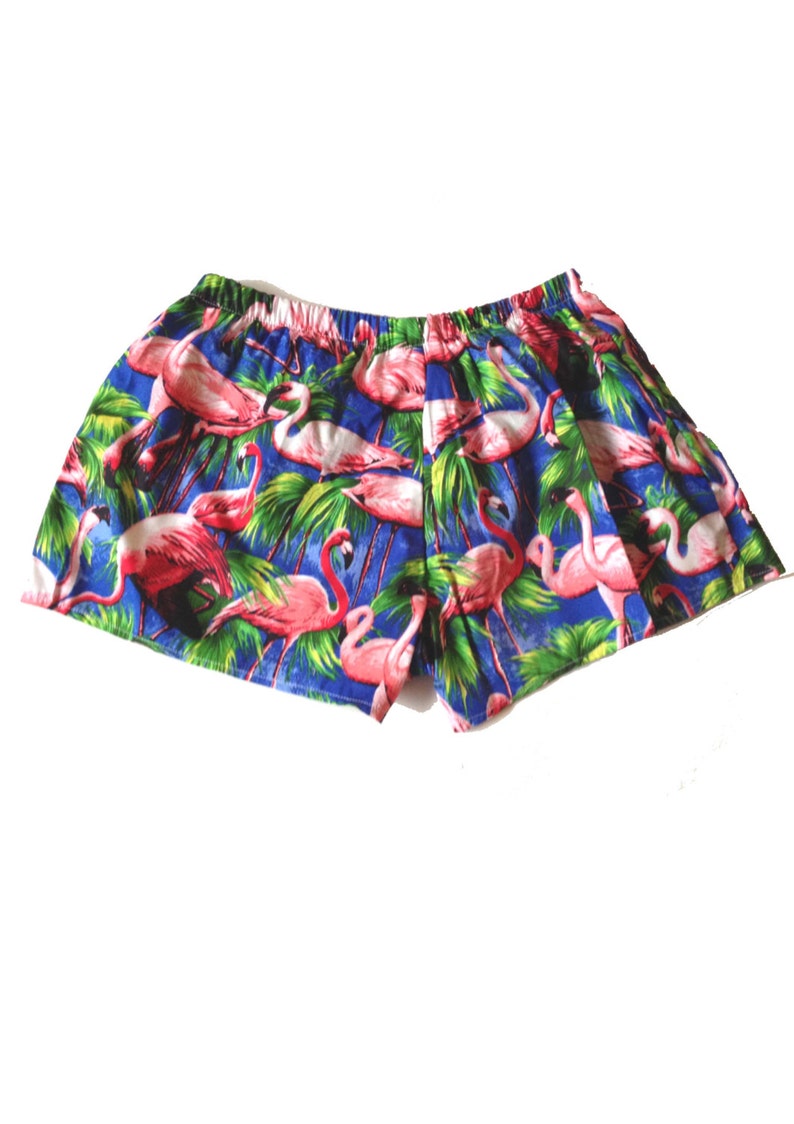 Retro Blue Flamingo Print Basic Shorts
