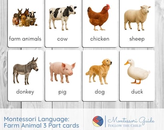 Farm Animal Montessori 3 Part Cards