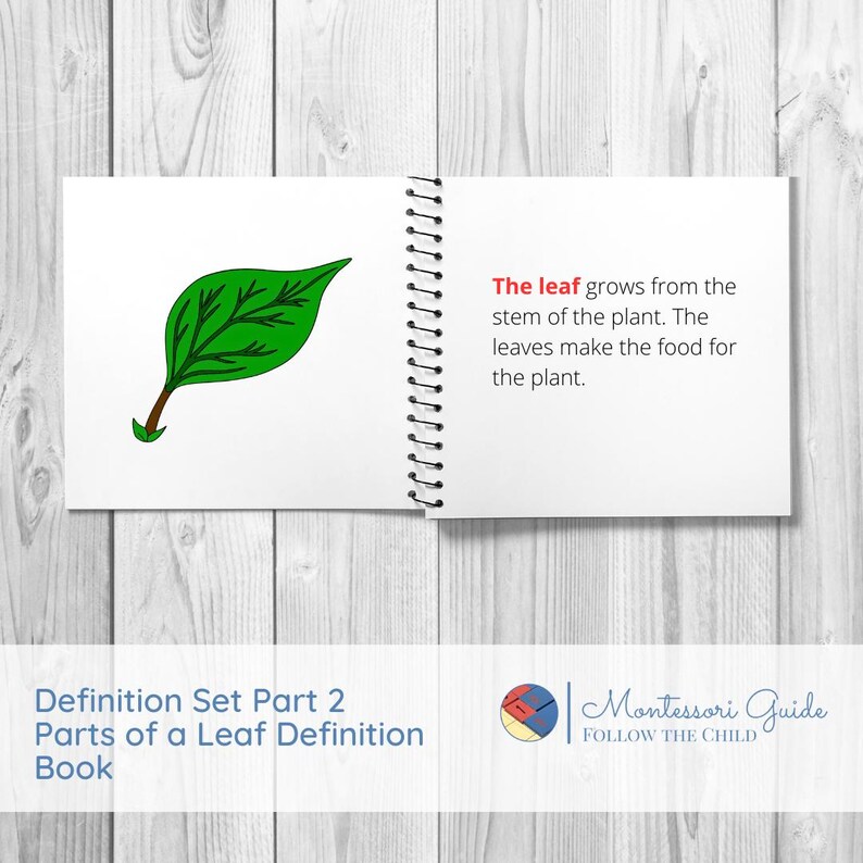 PARTS OF A LEAF Full Five Part Montessori Definition Set - Etsy Canada