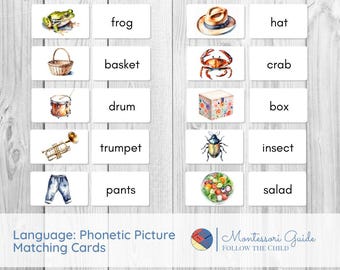 Phonetic Picture  Matching Cards
