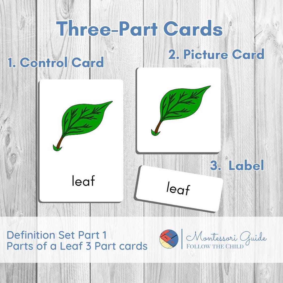 Parts of a Leaf Montessori Three-part Cards - Etsy
