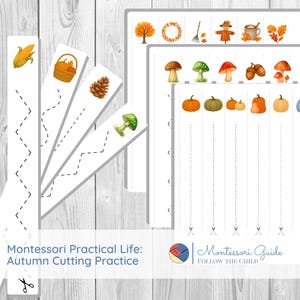 Autumn/Fall Cutting Practice